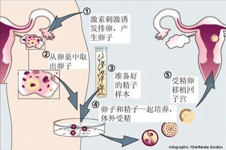 关于靠谱代怀包成功